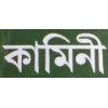 Kamini Prakashalay 