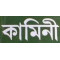 Kamini Prakashalay 
