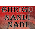 Bhrigu Nandi Nadi