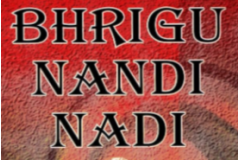 Bhrigu Nandi Nadi